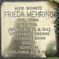 F Mehring