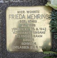 Mehring, Frieda
