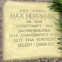 Max Herrmann Stolperstein